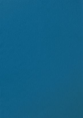 RENOLIT EXOFOL PX BRILLIANT BLUE 5007 